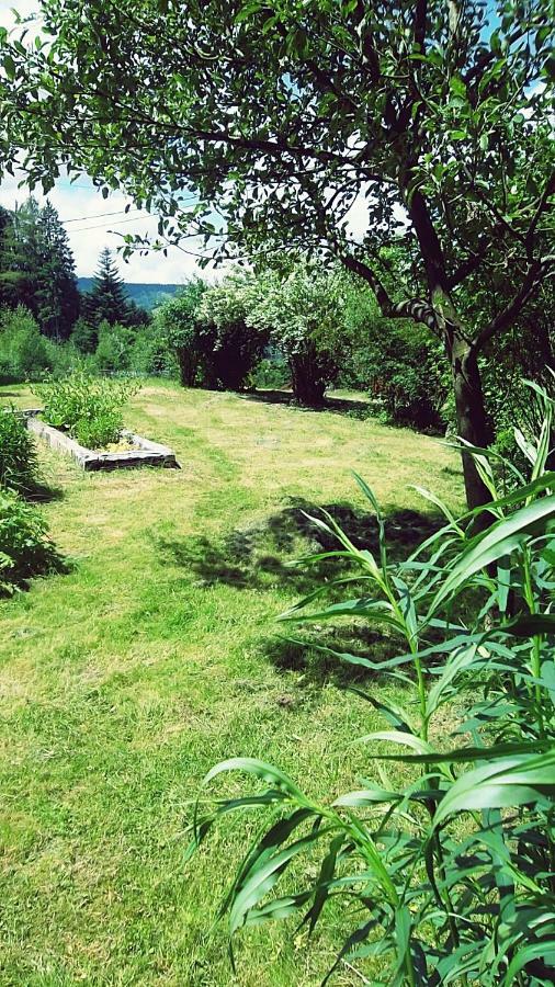 La Boissellerie Saulxures-sur-Moselotte Exterior foto