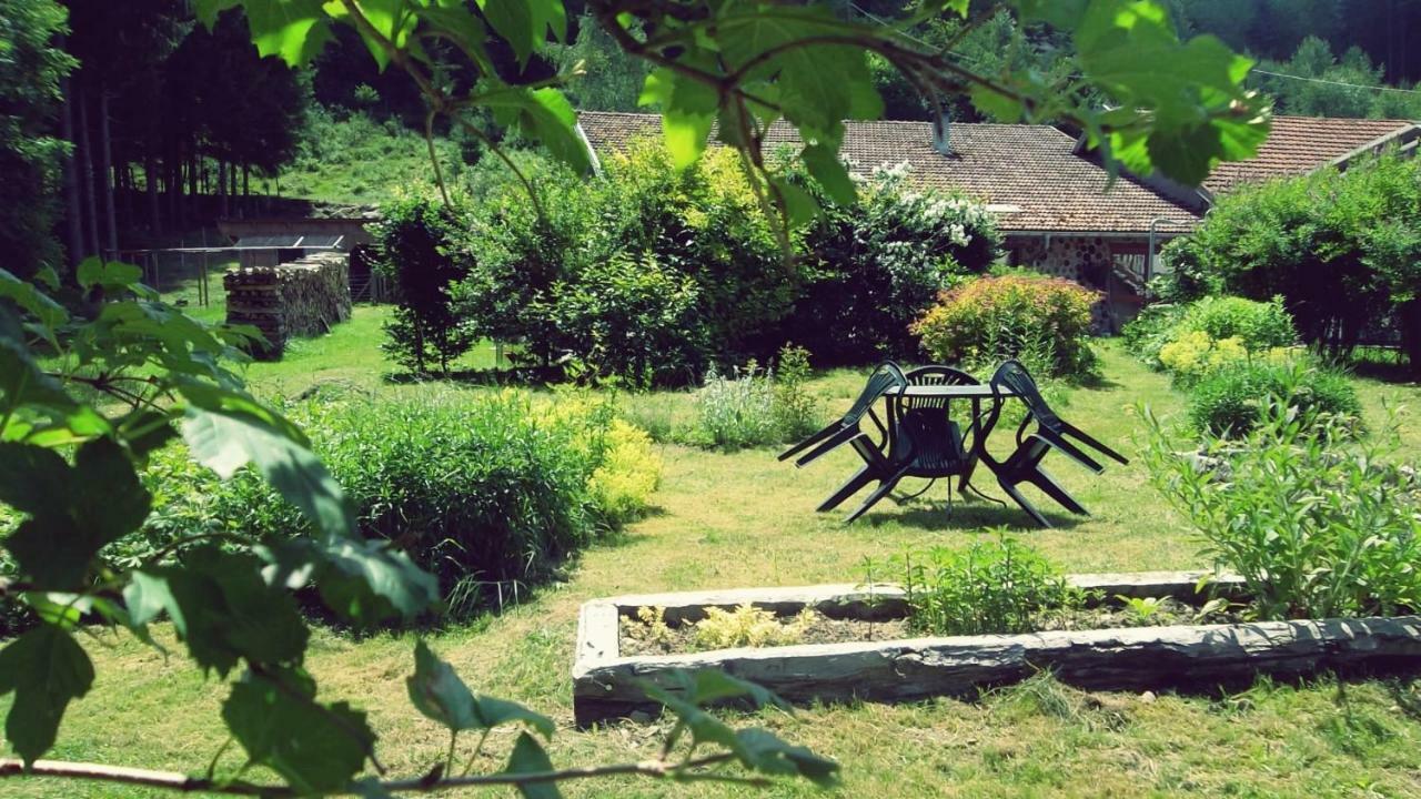 La Boissellerie Saulxures-sur-Moselotte Exterior foto